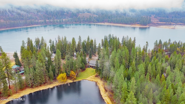 bird's eye view featuring a forest view and a water view