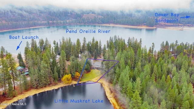 drone / aerial view featuring a view of trees and a water view