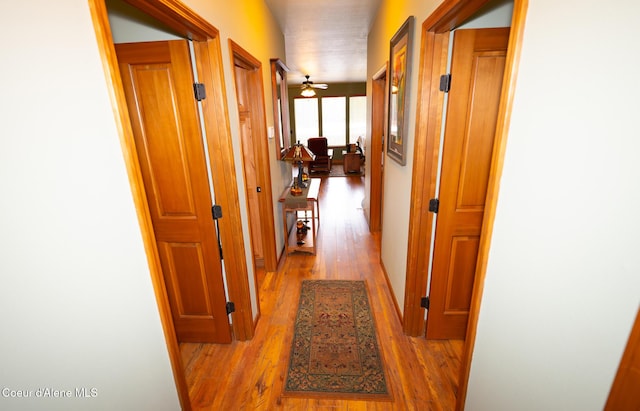 hallway with hardwood / wood-style floors