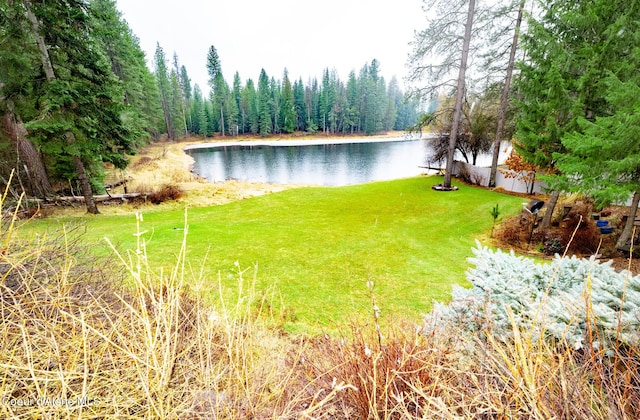 property view of water featuring a view of trees