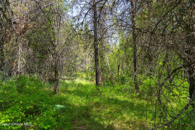 NNA Moyie River Rd, Bonners Ferry, ID 83805 - photo 11