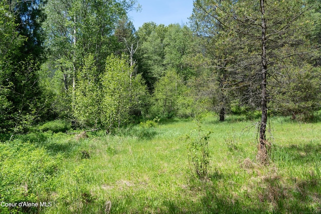 NNA Moyie River Rd, Bonners Ferry, ID 83805 - photo 6