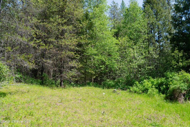 NNA Moyie River Rd, Bonners Ferry, ID 83805 - photo 8