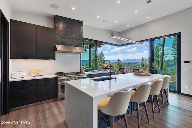 kitchen featuring high end range, range hood, modern cabinets, and a sink