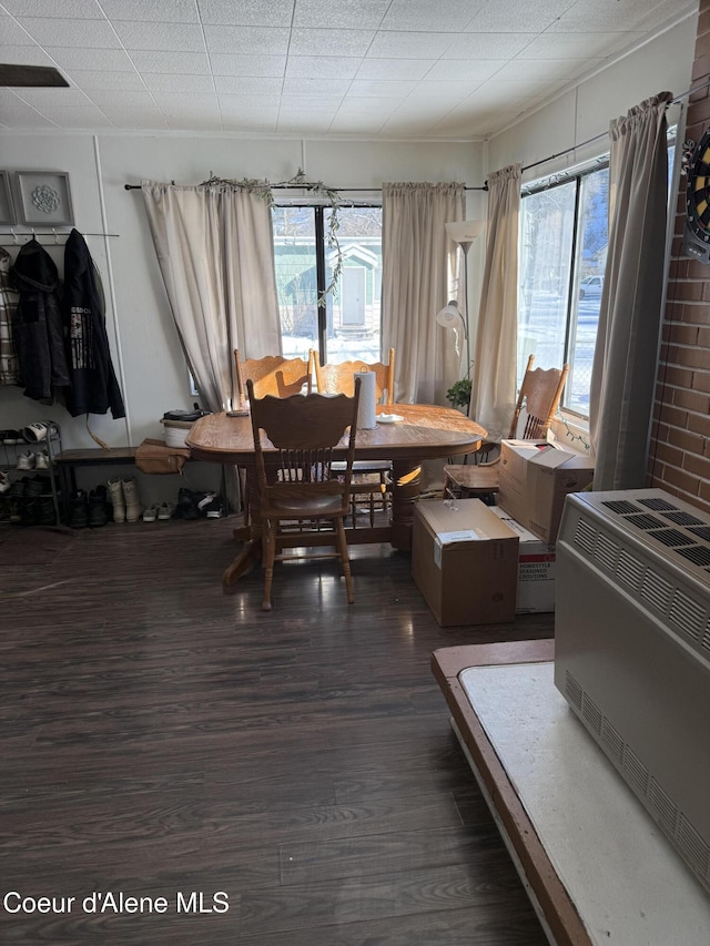 dining area featuring heating unit, a healthy amount of sunlight, and dark wood-style flooring