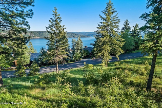 LOT46 Onyx Cir, Coeur Dalene ID, 83814 land for sale