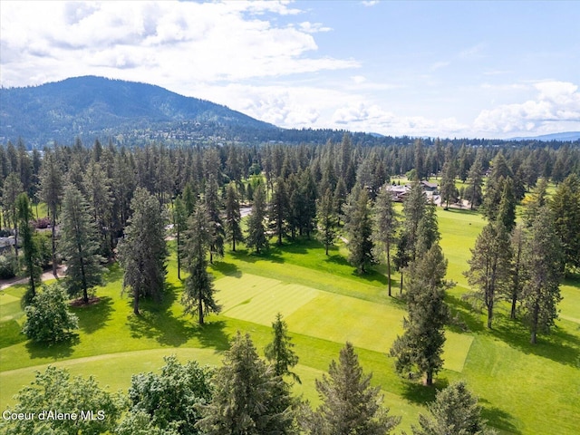 1665 E Club Ln, Hayden Lake, ID 83835 - aerial view of mountains and a forest