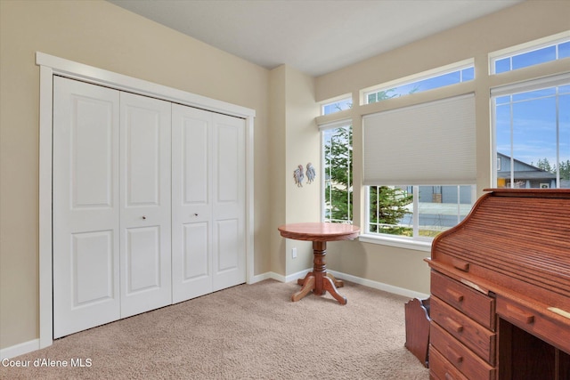 bedroom with baseboards, a closet, and carpet floors