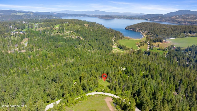 NKA Eagles Mere Rd, Harrison ID, 83833 land for sale