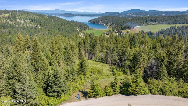 Listing photo 3 for NKA Eagles Mere Rd, Harrison ID 83833