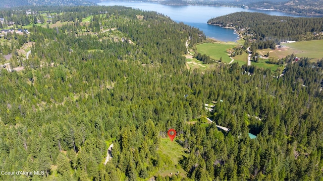 NKA Eagles Mere Rd, Harrison, ID 83833 - photo 4