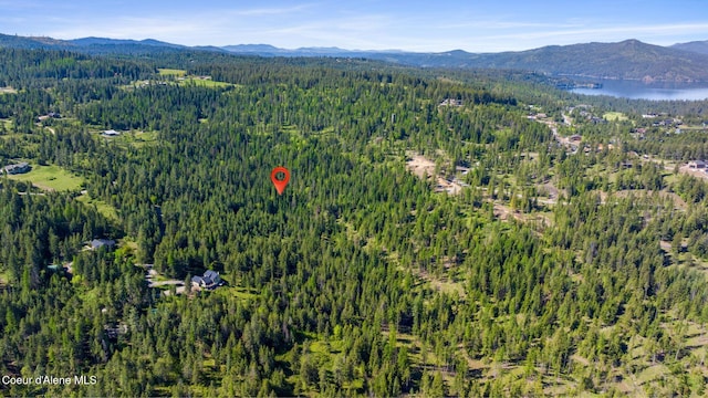 NKA Eagles Mere Rd, Harrison, ID 83833 - photo 6