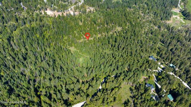 NKA Eagles Mere Rd, Harrison, ID 83833 - photo 7