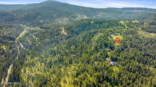 NKA Eagles Mere Rd, Harrison, ID 83833 - photo 8