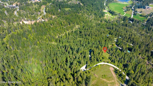 NKA Eagles Mere Rd, Harrison, ID 83833 - photo 9