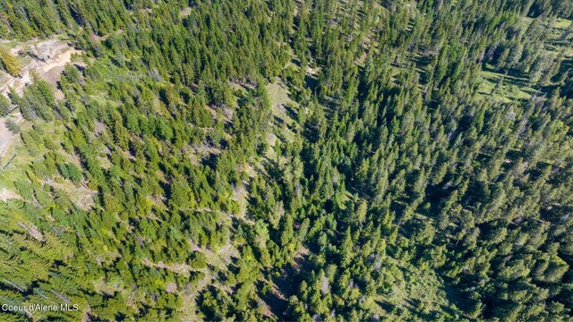 NKA Eagles Mere Rd, Harrison, ID 83833 - photo 10