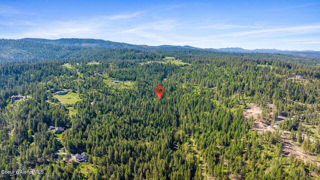 NKA Eagles Mere Rd, Harrison, ID 83833 - photo 11