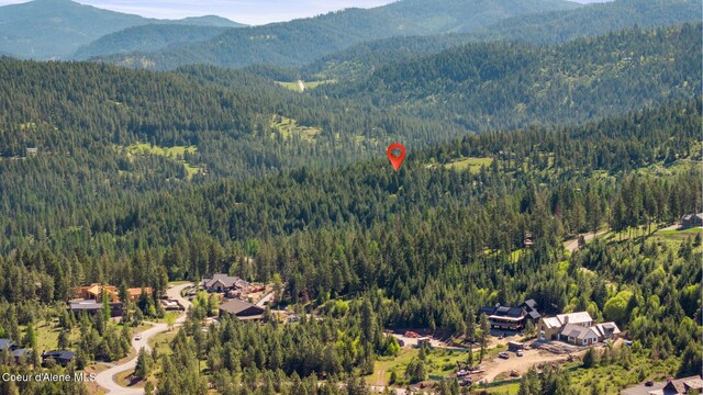 NKA Eagles Mere Rd, Harrison, ID 83833 - photo 15