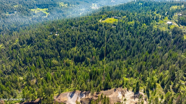 NKA Eagles Mere Rd, Harrison, ID 83833 - photo 17