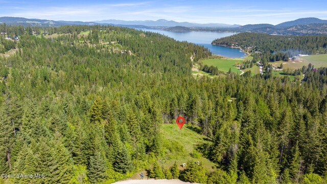 NKA Eagles Mere Rd, Harrison, ID 83833 - photo 20