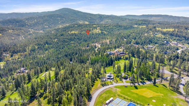 NKA Eagles Mere Rd, Harrison, ID 83833 - photo 22