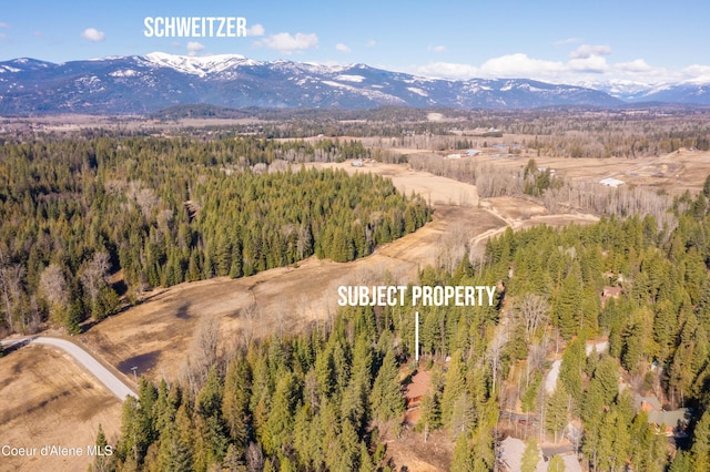 drone / aerial view featuring a wooded view and a mountain view