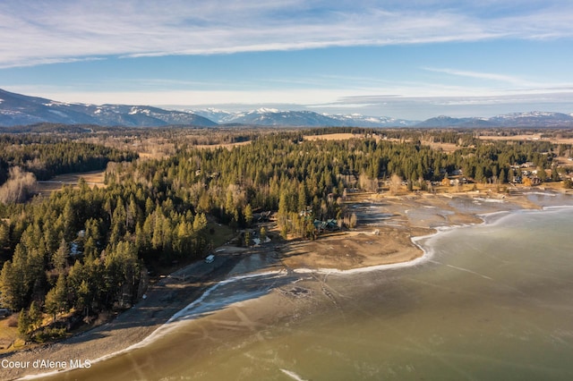 bird's eye view with a wooded view and a mountain view