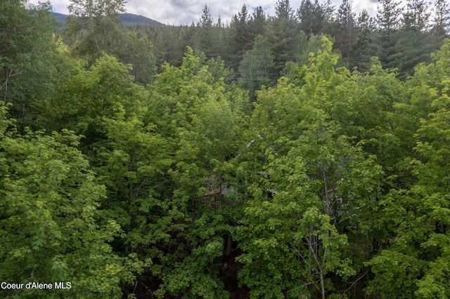 view of landscape with a forest view