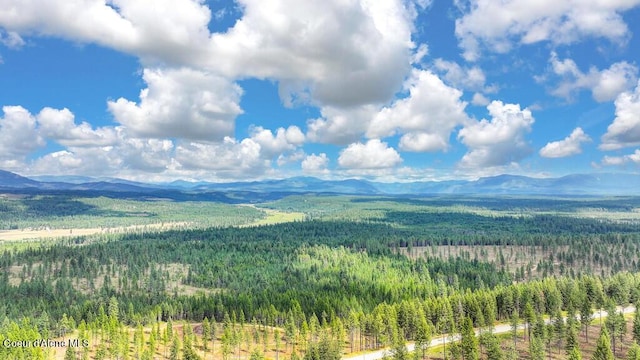 property view of mountains with a forest view