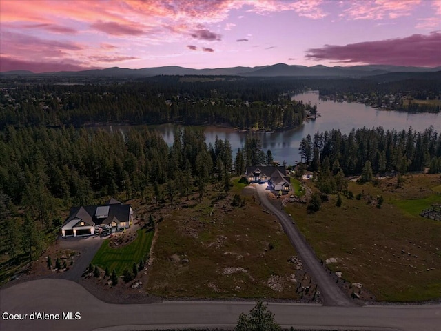 birds eye view of property featuring a view of trees and a water and mountain view