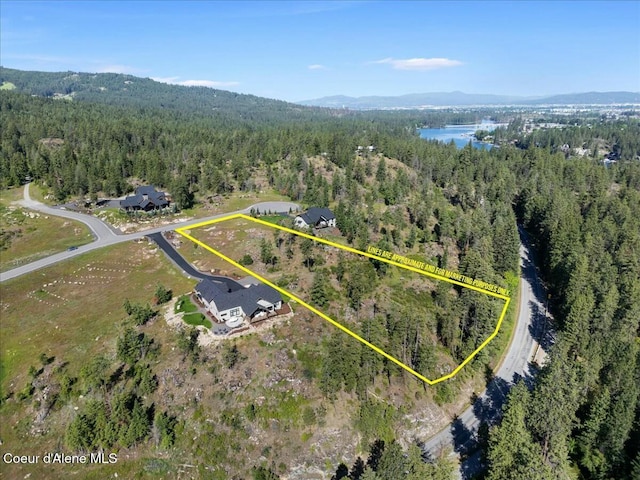 drone / aerial view featuring a forest view and a water view