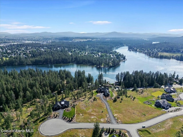 drone / aerial view featuring a view of trees and a water and mountain view
