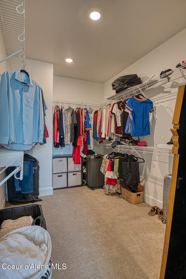 spacious closet with carpet