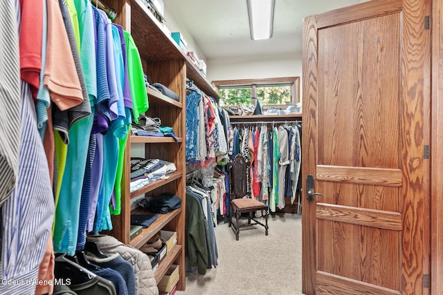 walk in closet with carpet floors