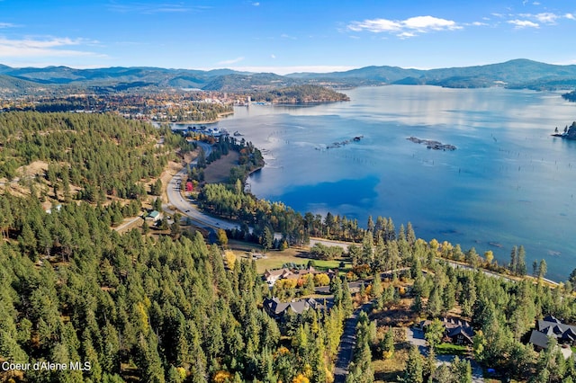 birds eye view of property featuring a water and mountain view