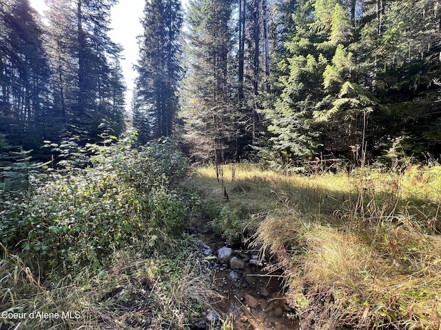 500 Janes Ln, Saint Maries, ID 83861 - photo 2