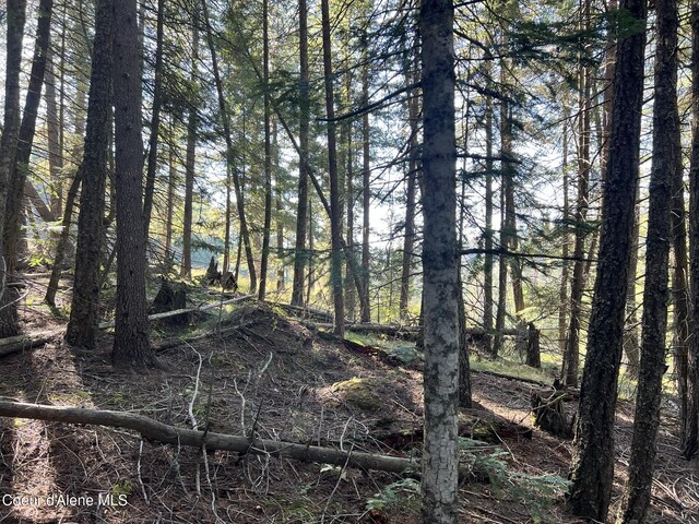 500 Janes Ln, Saint Maries, ID 83861 - photo 7
