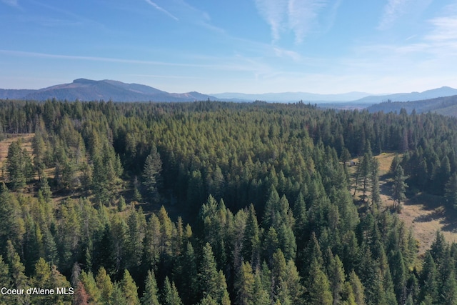 500 Janes Ln, Saint Maries, ID 83861 - photo 10