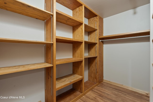 spacious closet with wood finished floors