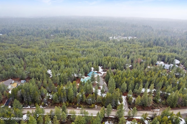 aerial view with a forest view