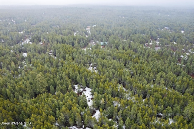 aerial view with a view of trees