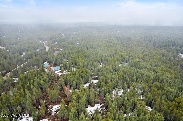 drone / aerial view with a wooded view