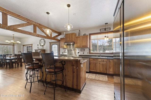 kitchen with under cabinet range hood, light wood-style flooring, appliances with stainless steel finishes, and dark countertops