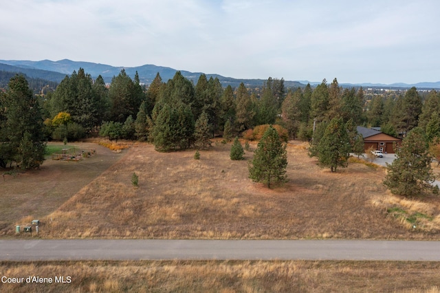 property view of mountains with a wooded view