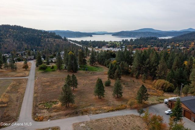 property view of mountains with a forest view and a water view