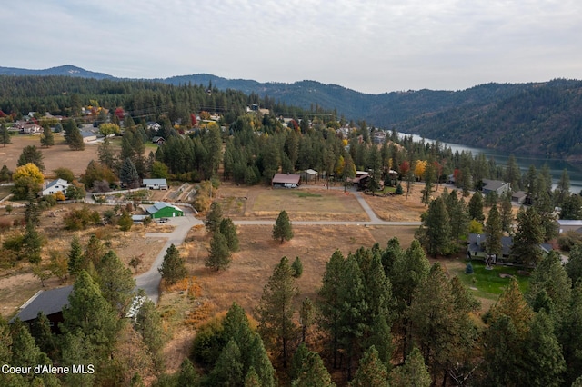 birds eye view of property with a view of trees and a mountain view