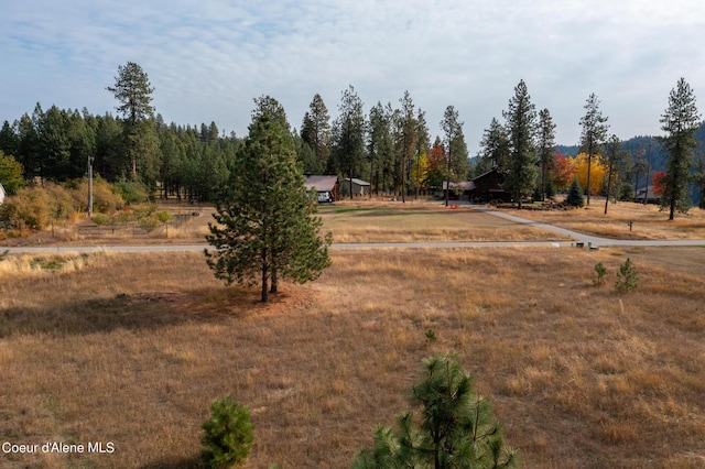 view of yard featuring a rural view