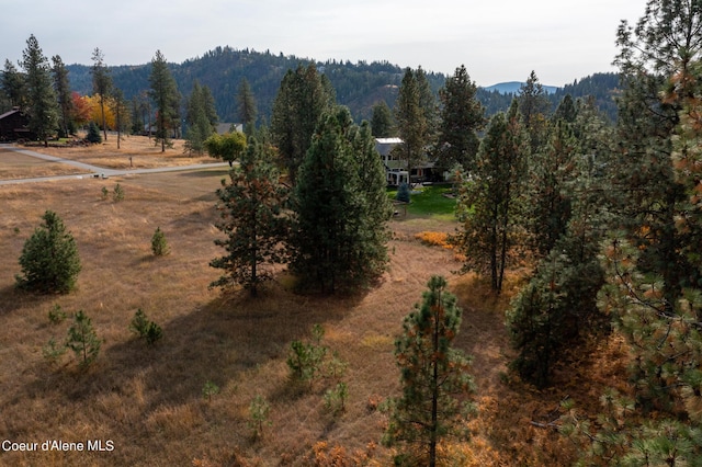 mountain view featuring a forest view