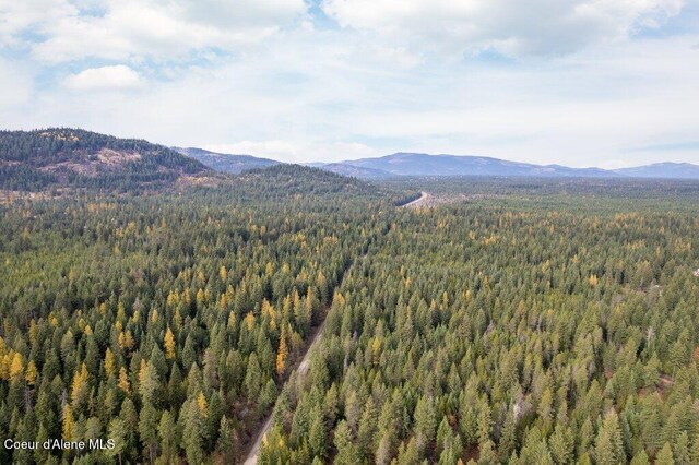 LOT4BLK1 N Peak Rd, Spirit Lake, ID 83869
