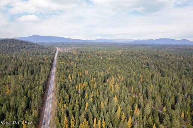 LOT4BLK1 N Peak Rd, Spirit Lake, ID 83869